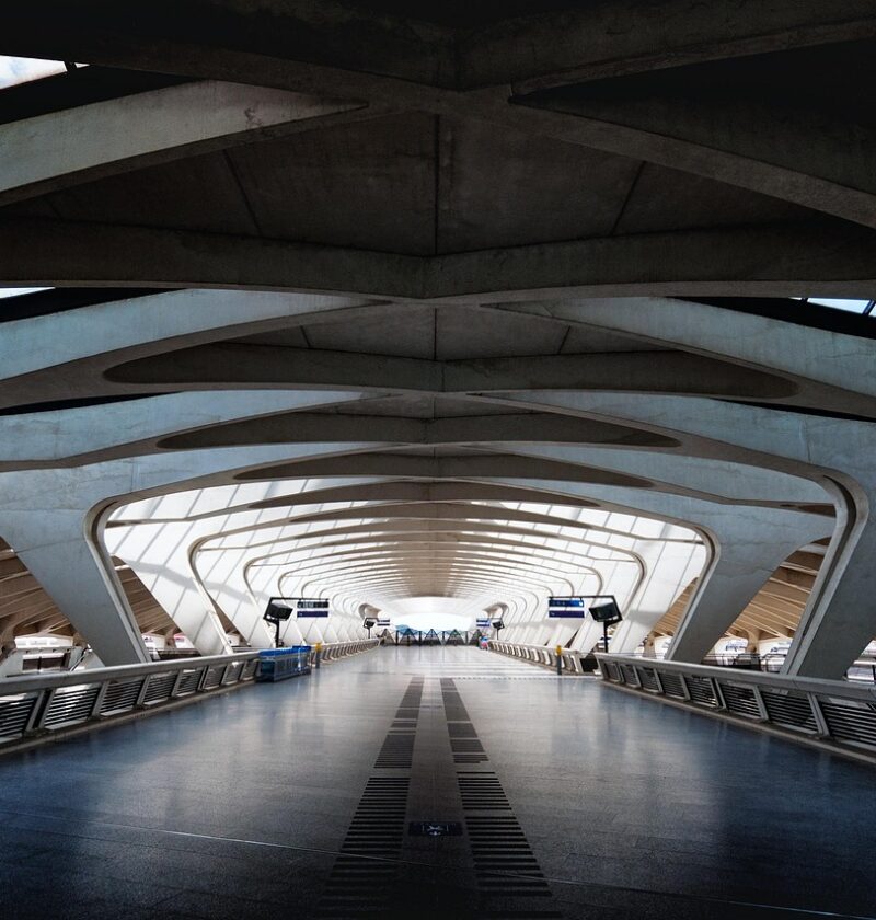 découvrez les initiatives rse (responsabilité sociétale des entreprises) à lyon pour un développement durable et engagé, au cœur des entreprises locales.