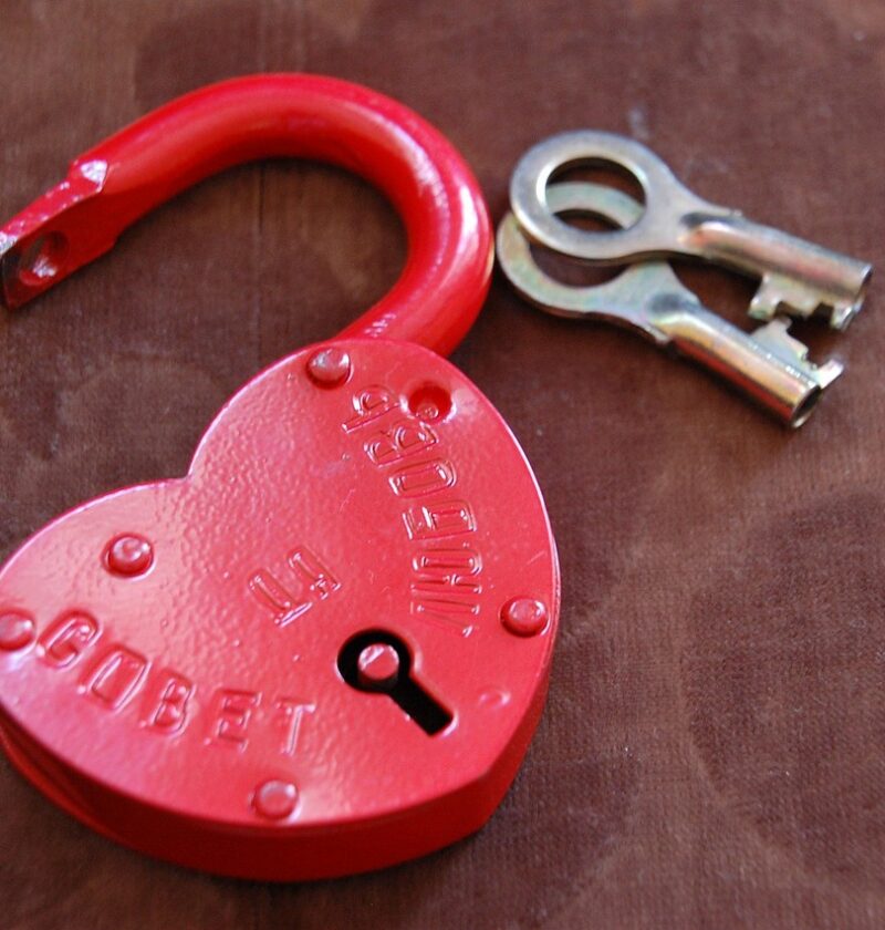 découvrez l'histoire captivante de « forbidden object », une œuvre mystérieuse qui explore les limites de l'interdit et du désir.