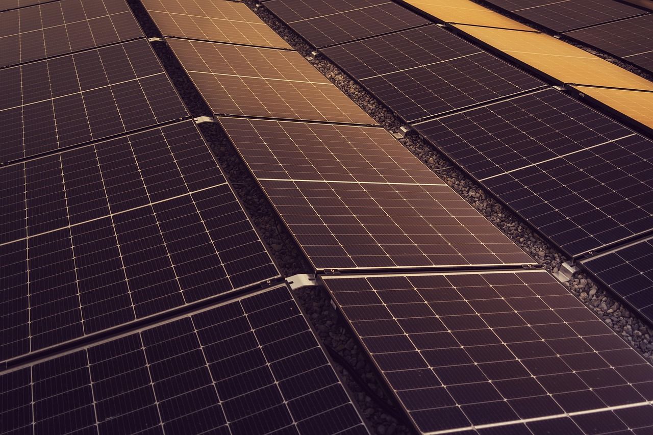 découvrez comment adopter le développement durable au quotidien : conseils, bonnes pratiques et actualités pour un mode de vie plus respectueux de l'environnement.