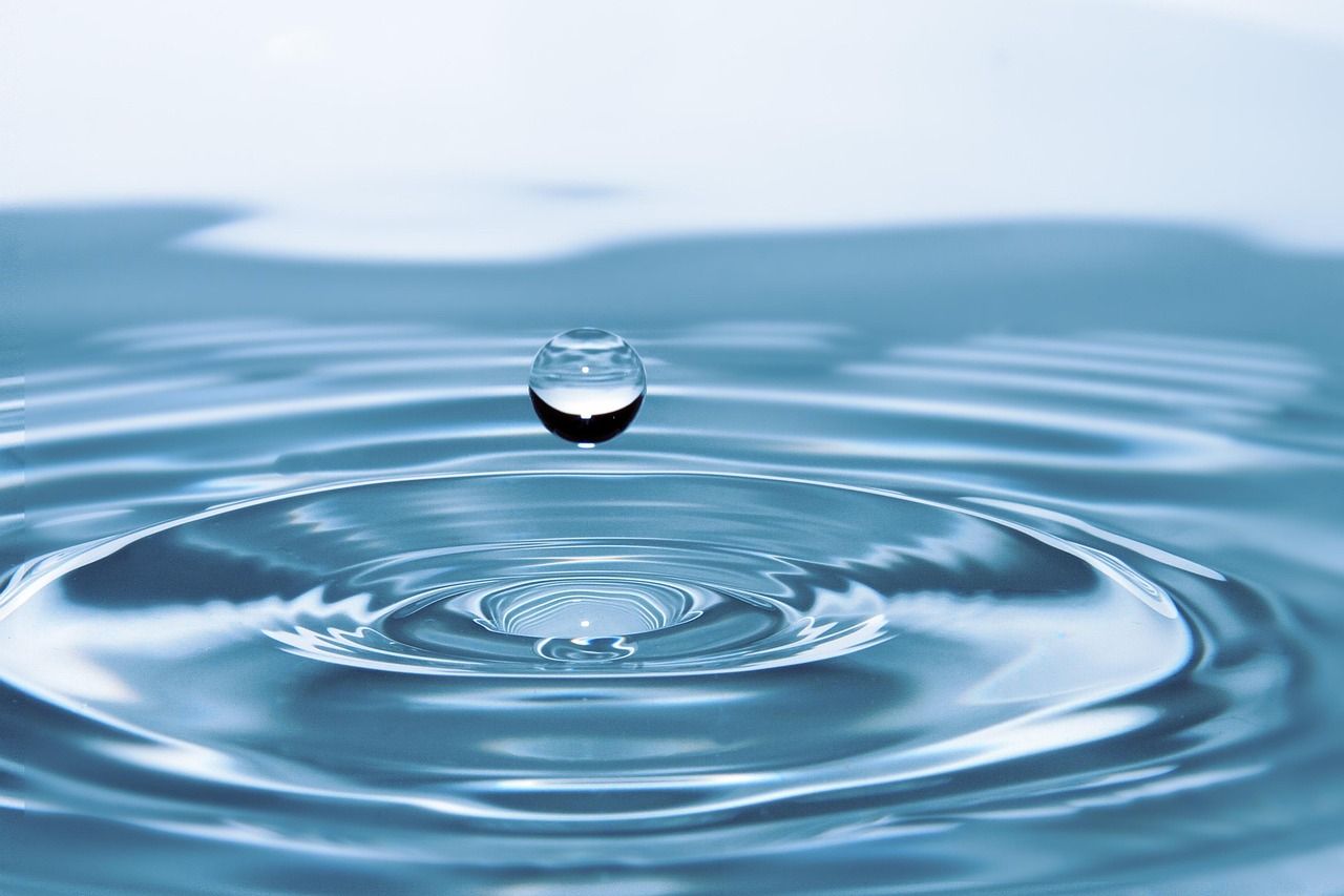 découvrez l'impact écologique des activités humaines, ses conséquences sur l’environnement et les solutions pour préserver la planète durablement.