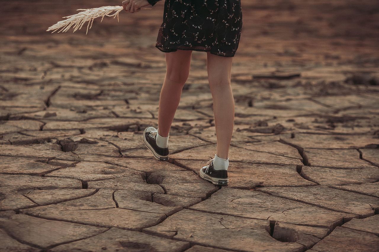 découvrez les causes et les conséquences du changement climatique, ainsi que les solutions pour lutter contre ce phénomène mondial qui façonne notre avenir.