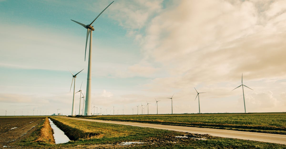 découvrez l'infrastructure verte : une approche innovante pour améliorer la durabilité urbaine, favoriser la biodiversité et optimiser la gestion des ressources naturelles tout en offrant des espaces de vie agréables et sains.