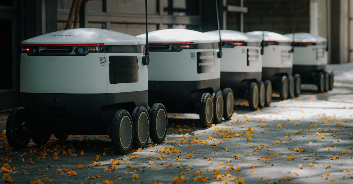 découvrez les systèmes agroécologiques : des méthodes agricoles durables qui respectent l'environnement, renforcent la biodiversité et favorisent une production alimentaire saine et résiliente.