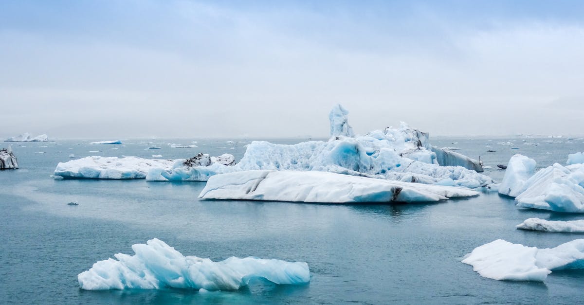 découvrez l'impact du changement climatique sur notre planète, ses causes, ses effets sur la biodiversité et les solutions pour un avenir durable. agissons ensemble pour un monde meilleur.
