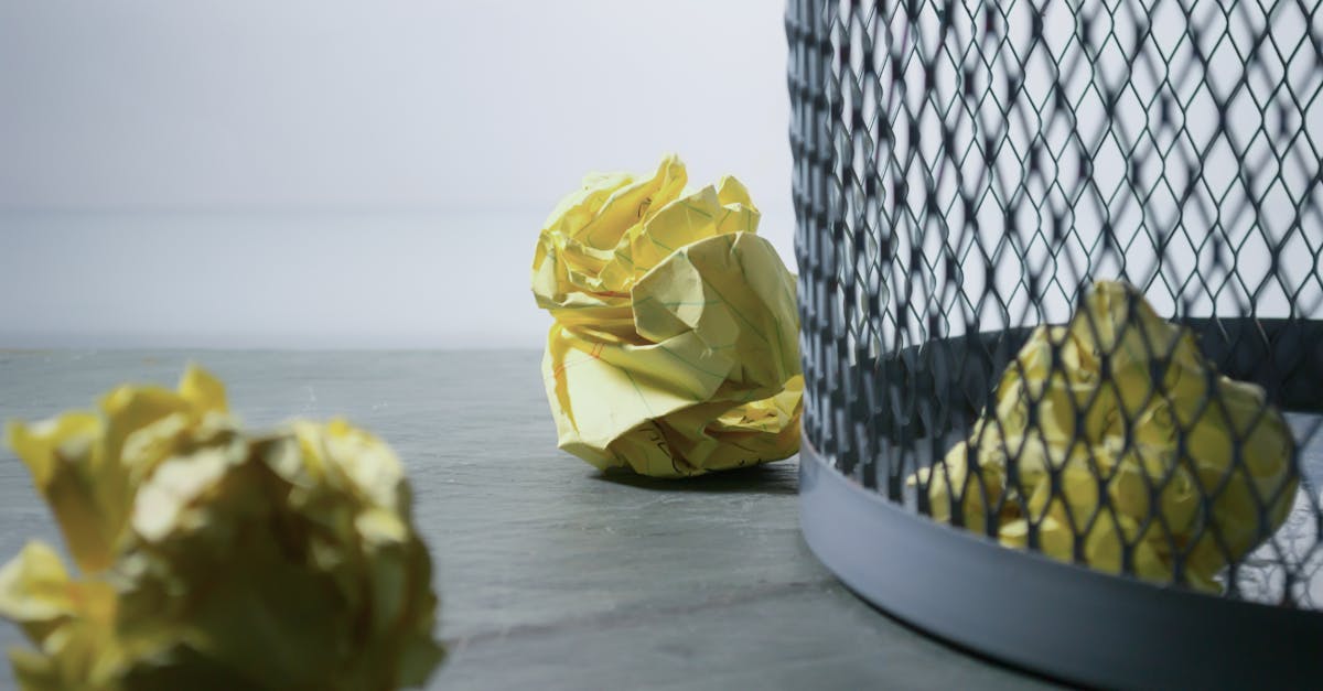 découvrez comment gérer efficacement les déchets pour réduire notre impact environnemental. apprenez des stratégies de tri, de recyclage et de réduction des déchets qui contribuent à un avenir plus durable.