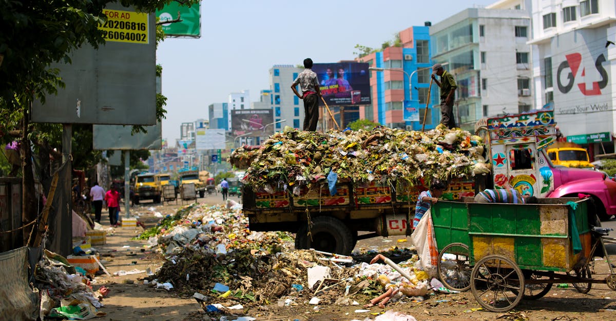 découvrez l'écologie urbaine, une discipline fascinante qui explore l'interaction entre les villes et la nature. apprenez comment les espaces urbains peuvent favoriser la biodiversité, améliorer la qualité de vie et contribuer à la durabilité environnementale.