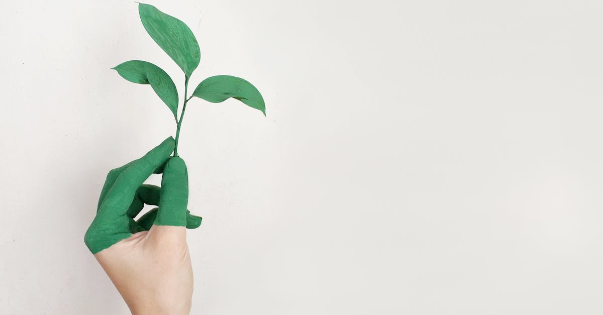 découvrez les principes et les enjeux du développement durable : une démarche essentielle pour préserver l'environnement, favoriser la croissance économique responsable et améliorer la qualité de vie, aujourd'hui et pour les générations futures.