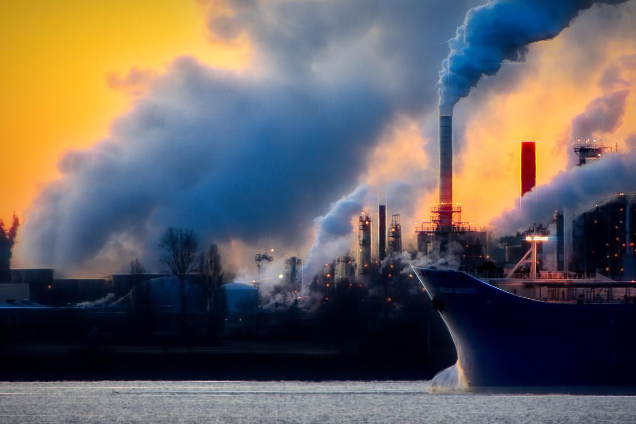 découvrez l'impact environnemental des activités humaines et les solutions pour un futur durable. explorez les enjeux écologiques, les conséquences sur la biodiversité et les initiatives pour protéger notre planète.
