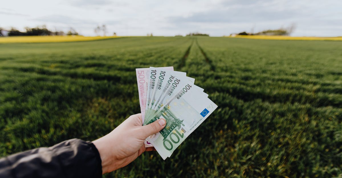 découvrez l'importance du financement vert et son impact sur le développement durable. apprenez comment les investissements responsables favorisent la transition vers une économie plus verte et soutiennent des projets écologiques innovants.