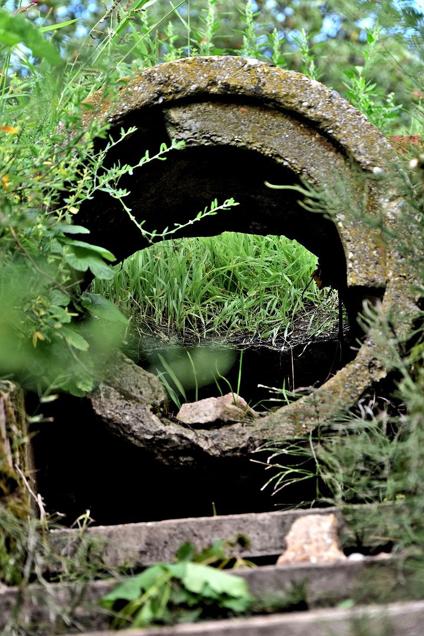 découvrez des projets verts innovants et durables qui favorisent la protection de l'environnement et l'avenir écologique.