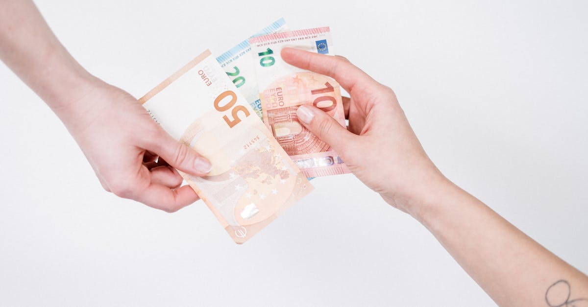 découvrez le financement vert, une solution innovante pour investir dans des projets durables et écologiques. apprenez comment le financement vert contribue à la transition énergétique et à la préservation de notre planète.
