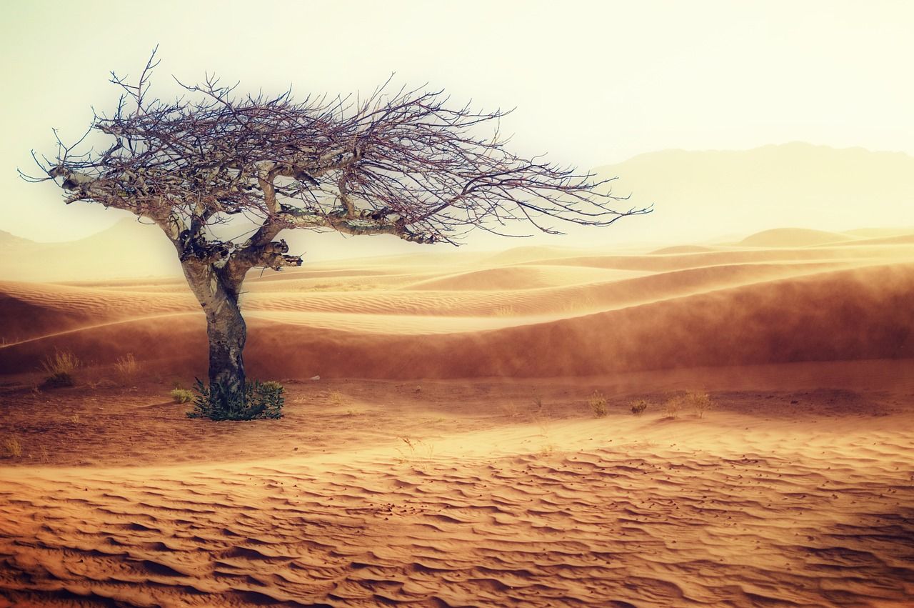 découvrez les défis liés au changement climatique : impacts environnementaux, économiques et sociaux, ainsi que les solutions innovantes pour un avenir durable. engagez-vous dans la lutte contre ce phénomène mondial.