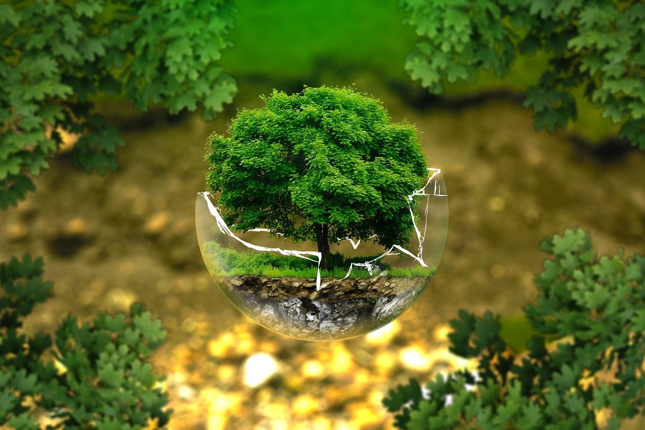découvrez ce qu'est la transition écologique, ses enjeux et ses solutions pour adopter un mode de vie plus respectueux de l'environnement et contribuer à la protection de la planète.