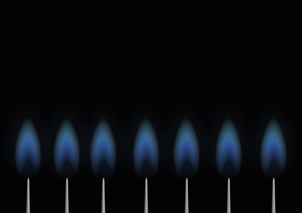 découvrez comment compenser votre empreinte carbone grâce à des actions concrètes et des solutions écologiques. engagez-vous pour la planète en réduisant l'impact environnemental de vos activités.