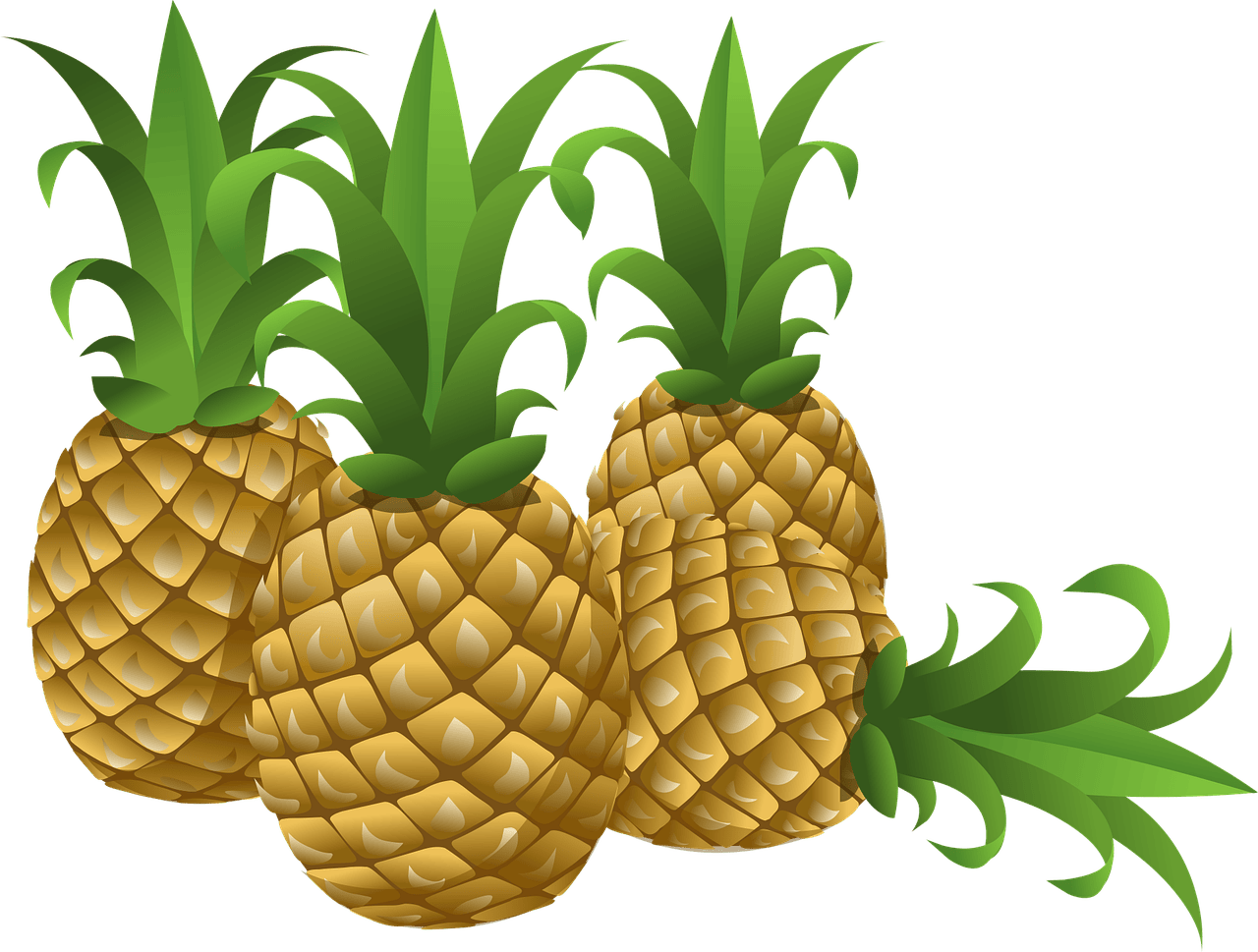 découvrez une sélection unique de fruits exotiques aux saveurs inédites, parfaits pour apporter fraîcheur et originalité à votre alimentation.