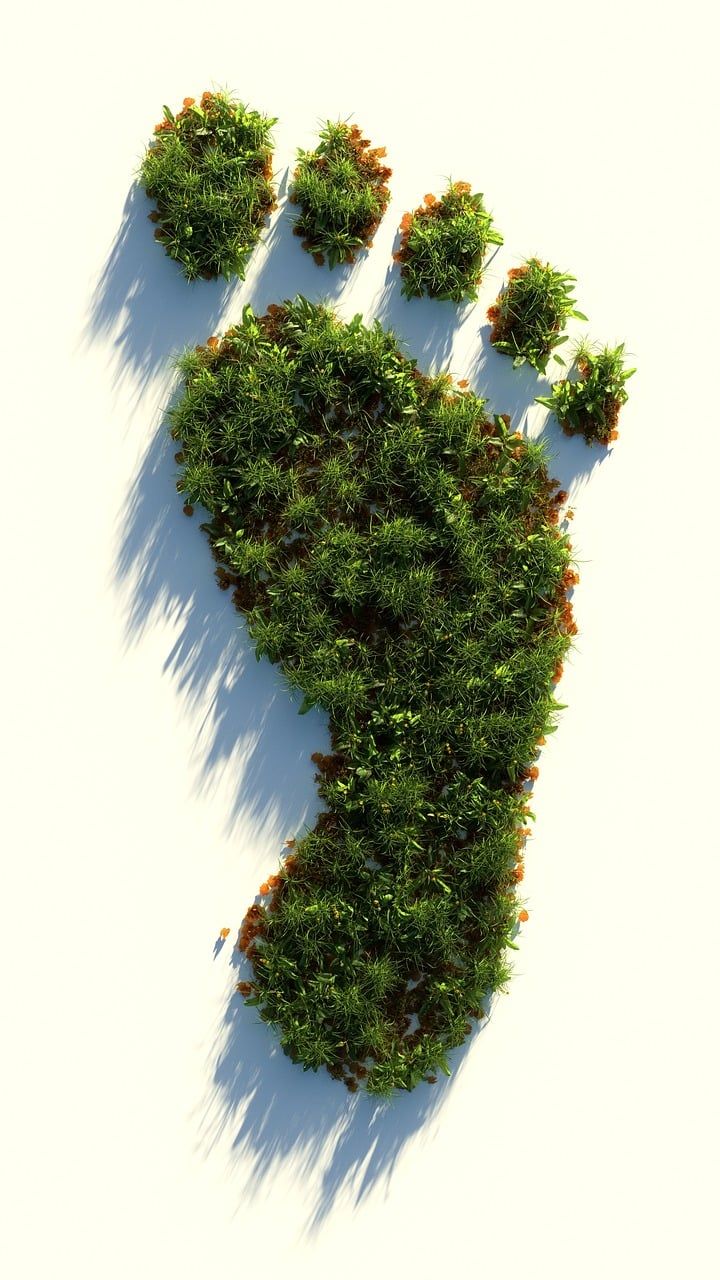 découvrez ce qu'est l'empreinte écologique, un indicateur clé pour mesurer l'impact de nos activités sur l'environnement et adopter un mode de vie durable.