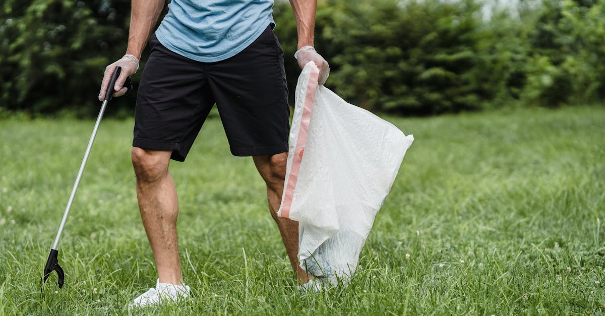 découvrez les meilleures pratiques et solutions innovantes en gestion des déchets pour réduire l'impact environnemental, optimiser le recyclage et favoriser un avenir durable.