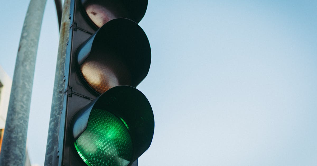 découvrez l'importance des infrastructures vertes pour un développement durable. apprenez comment elles améliorent la qualité de l'air, gèrent les eaux pluviales et favorisent la biodiversité en milieu urbain.