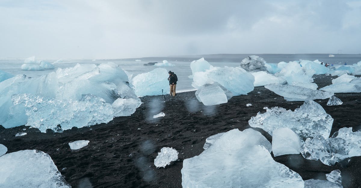 découvrez l'impact du changement climatique sur notre planète et les actions nécessaires pour préserver notre environnement. informez-vous sur les causes, les conséquences et les solutions durables pour lutter contre ce défi mondial.