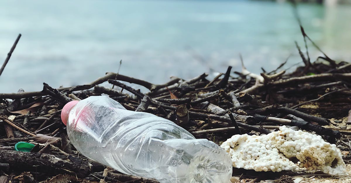 découvrez les impacts de la pollution sur notre environnement et notre santé. informez-vous sur les différentes formes de pollution, leurs causes et les solutions pour préserver notre planète.