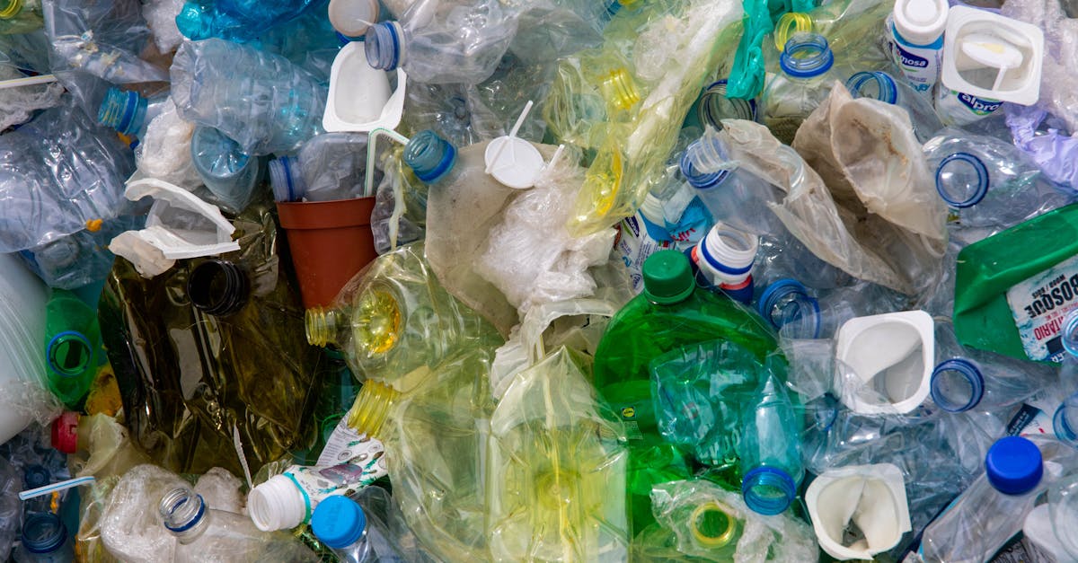 découvrez des stratégies efficaces pour la réduction des déchets et apprenez comment contribuer à un avenir plus durable. transformez votre quotidien en intégrant des pratiques éco-responsables et réduisez votre impact environnemental.