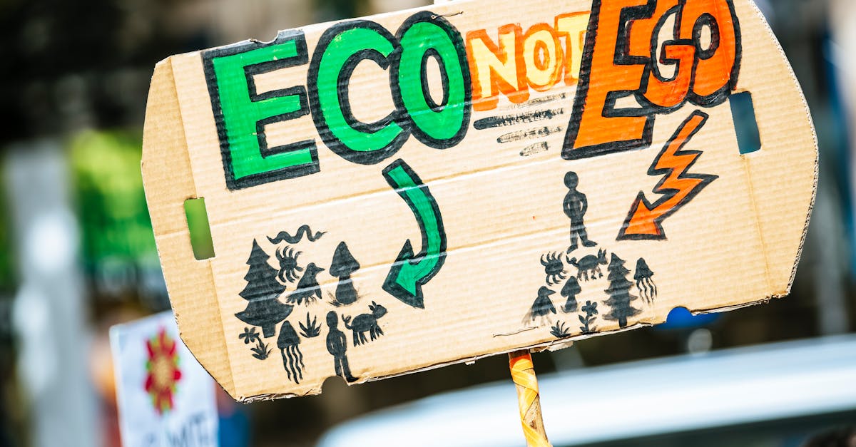découvrez l'importance de la lutte contre le changement climatique et explorez des solutions durables pour préserver notre planète. informez-vous sur les enjeux environnementaux actuels et engagez-vous pour un avenir meilleur.