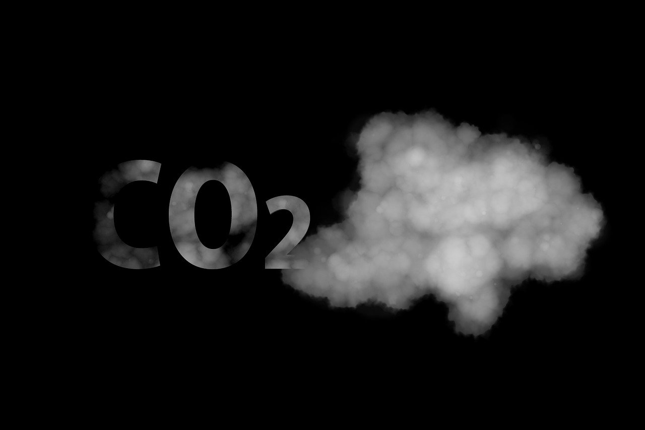 découvrez les causes, les impacts et les solutions du changement climatique pour mieux comprendre les enjeux globaux et agir pour l'environnement.