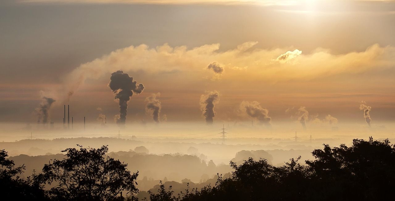 découvrez l'évaluation environnementale : un processus essentiel pour analyser l'impact des projets sur l'environnement et promouvoir un développement durable tout en respectant la réglementation en vigueur.