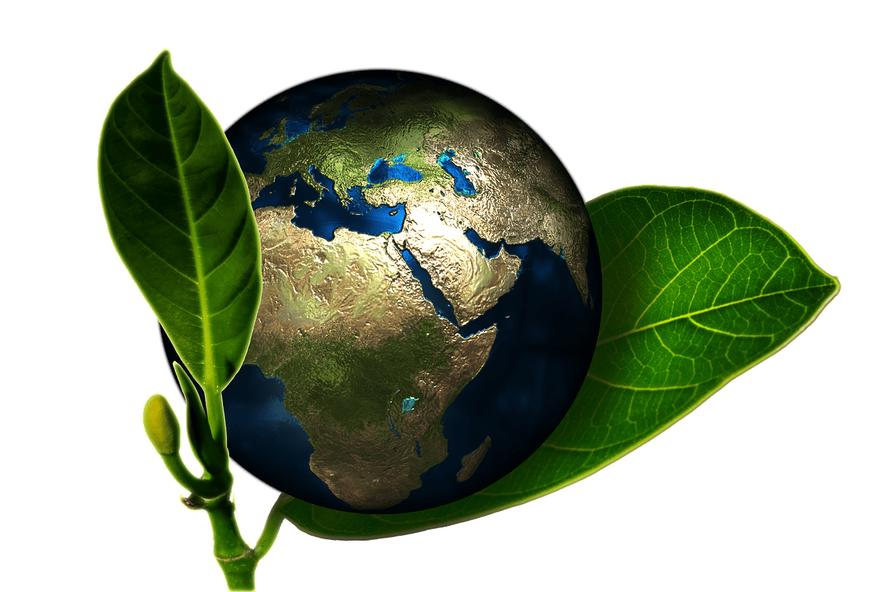 découvrez l'écologie politique, une approche qui examine les interactions entre la politique et l'environnement. explorez comment les décisions politiques influencent la durabilité, la justice sociale et les défis environnementaux. engagez-vous dans un débat sur les solutions pour un avenir plus équilibré et équitable.