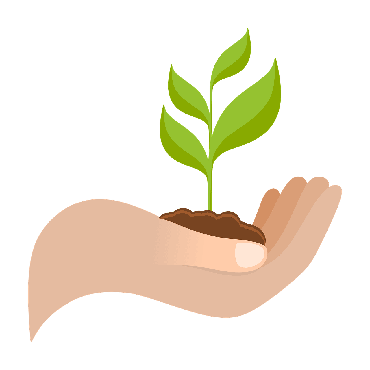 découvrez les stratégies et pratiques pour une croissance durable, alliant succès économique, responsabilité sociale et respect de l'environnement.