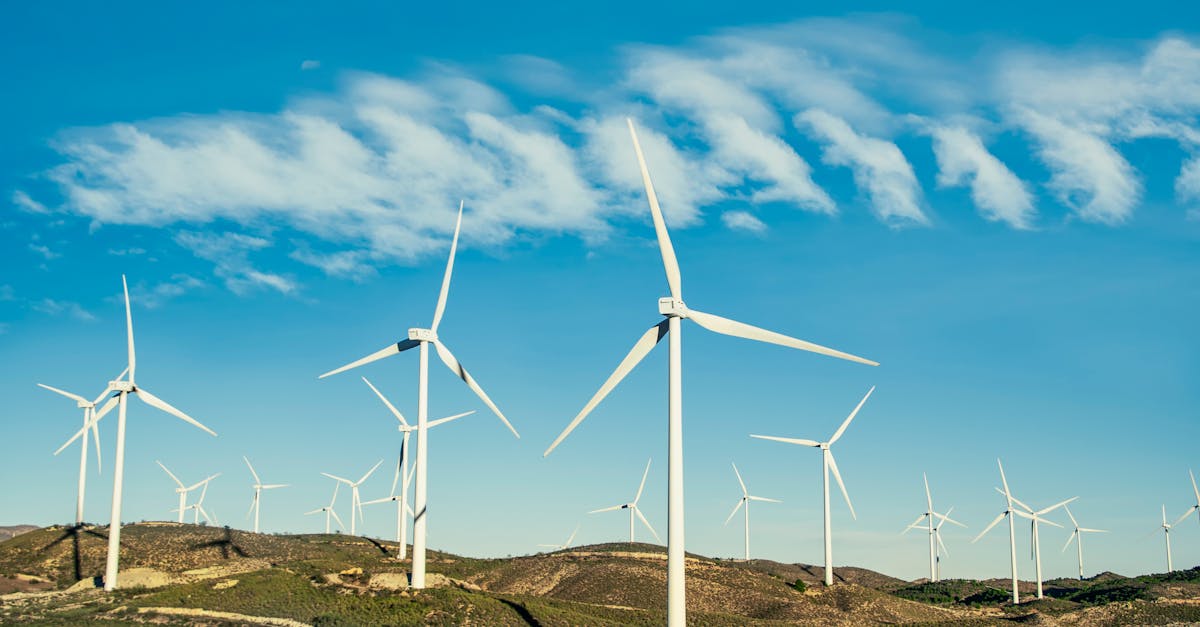 découvrez des stratégies et des pratiques pour promouvoir la durabilité environnementale. apprenez comment protéger notre planète tout en soutenant un développement responsable et respectueux des ressources naturelles.