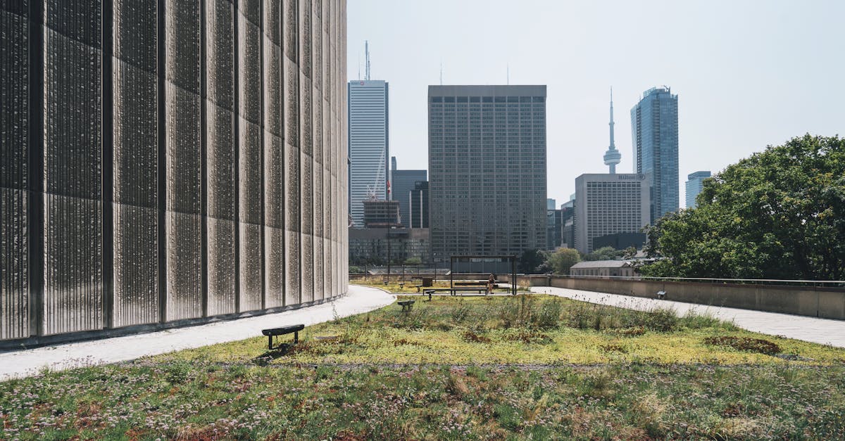 découvrez l'écologie urbaine, une discipline qui explore les interactions entre les êtres vivants et leur environnement en milieu urbain. apprenez comment les villes peuvent être des refuges pour la biodiversité et comment des pratiques durables peuvent transformer nos espaces urbains en écosystèmes sains.