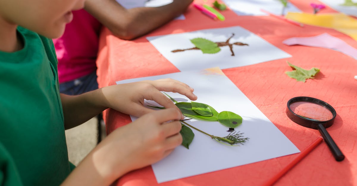 découvrez l'importance de l'éducation environnementale pour sensibiliser et responsabiliser les générations futures face aux enjeux écologiques. apprenez comment elle stimule la conscience écologique et favorise des comportements durables.