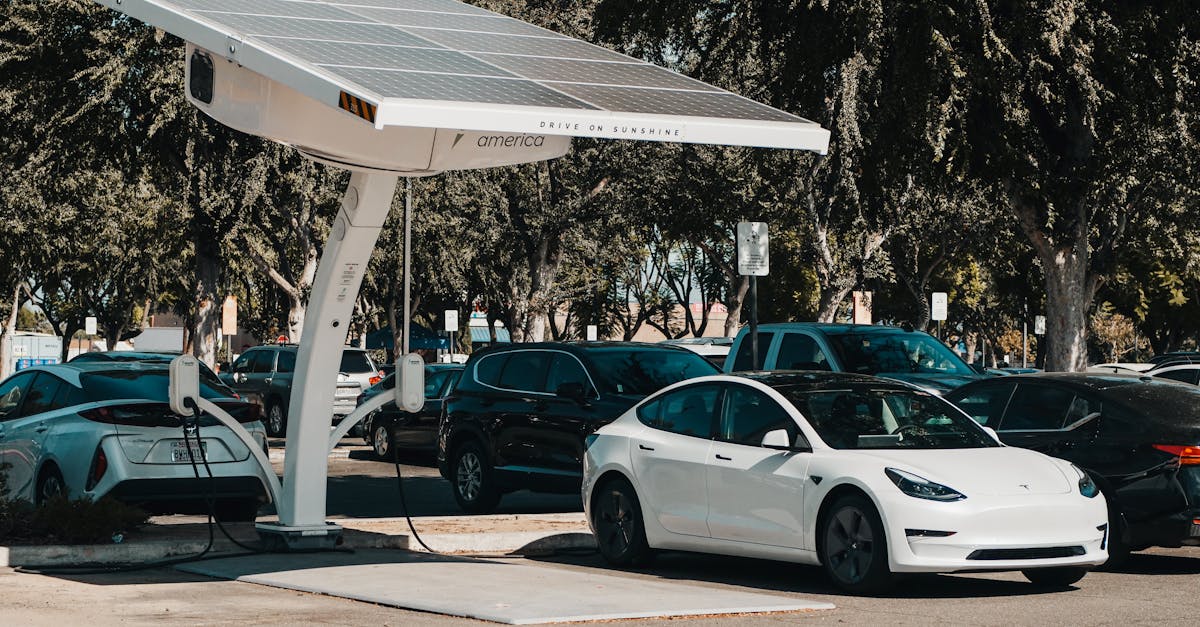 découvrez comment le sustainable urbanism révolutionne nos villes en intégrant des pratiques respectueuses de l'environnement, favorisant la qualité de vie et la résilience face aux défis contemporains. explorez des concepts d'architecture écologique, de mobilité durable et d'espaces verts pour bâtir un avenir urbain meilleur.