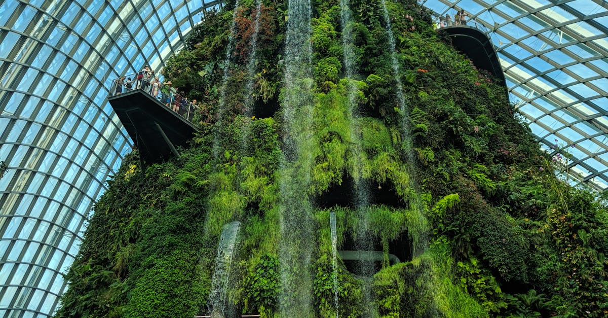découvrez l'écologie urbaine, un domaine fascinant qui explore l'interaction entre les écosystèmes et les milieux urbains. apprenez comment la biodiversité, la gestion des espaces verts et les initiatives durables contribuent à des villes plus résilientes et agréables à vivre.