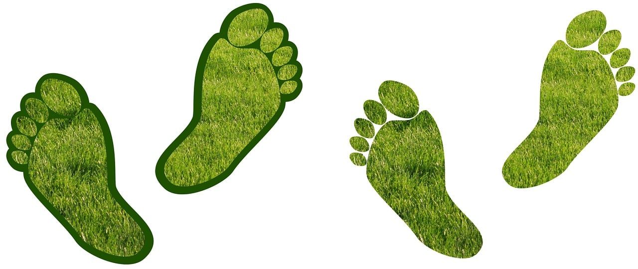 découvrez comment réduire votre empreinte carbone et contribuer à la lutte contre le changement climatique. explorez des conseils pratiques et des solutions innovantes pour adopter un mode de vie plus durable.
