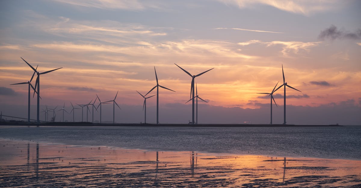 découvrez le développement durable : ses principes, ses enjeux et des solutions concrètes pour préserver la planète tout en assurant le bien-être des générations actuelles et futures.