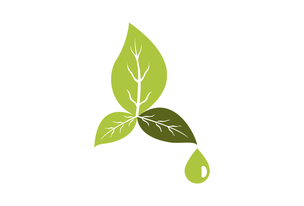 découvrez des initiatives éco-responsables qui visent à protéger notre planète tout en améliorant notre qualité de vie. explorez des solutions durables, des conseils pratiques et des projets innovants qui font la différence pour un avenir meilleur.