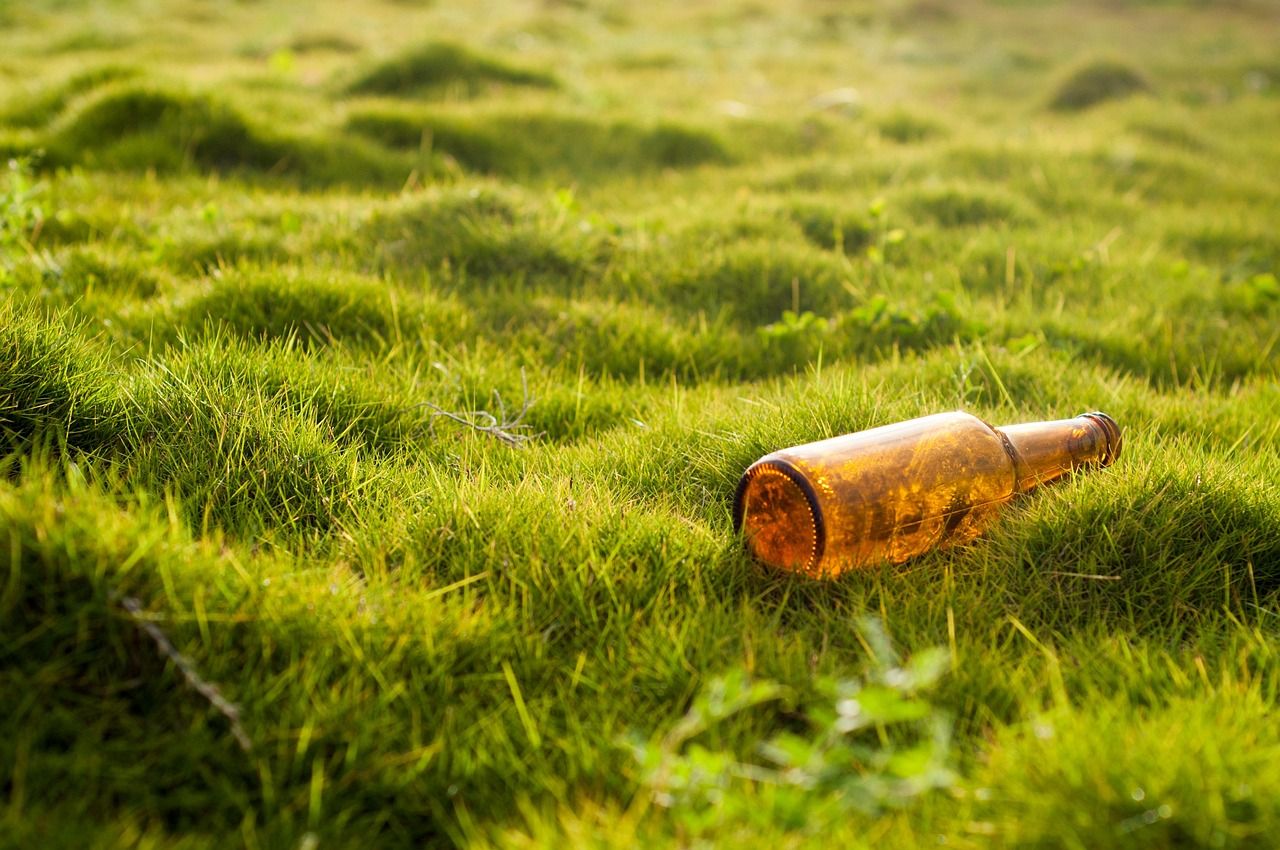 découvrez l'engagement et les actions de l'activisme environnemental pour protéger notre planète et promouvoir un développement durable.