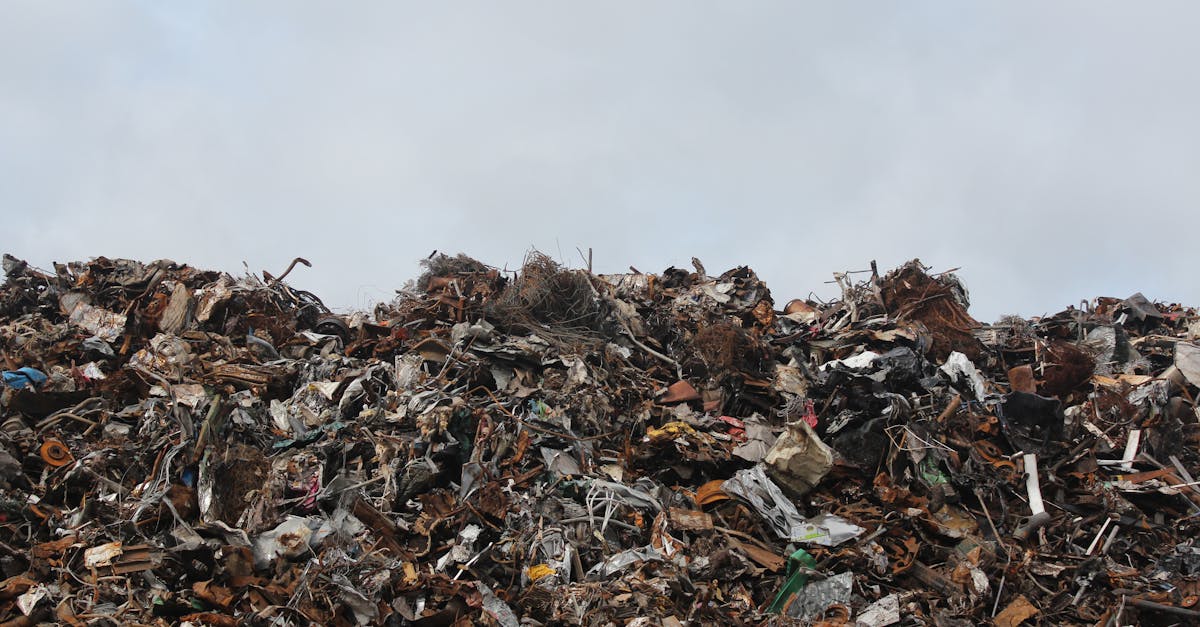 découvrez notre guide complet sur la gestion des déchets : conseils, méthodes de recyclage, réduction des déchets et pratiques écologiques pour un avenir durable.