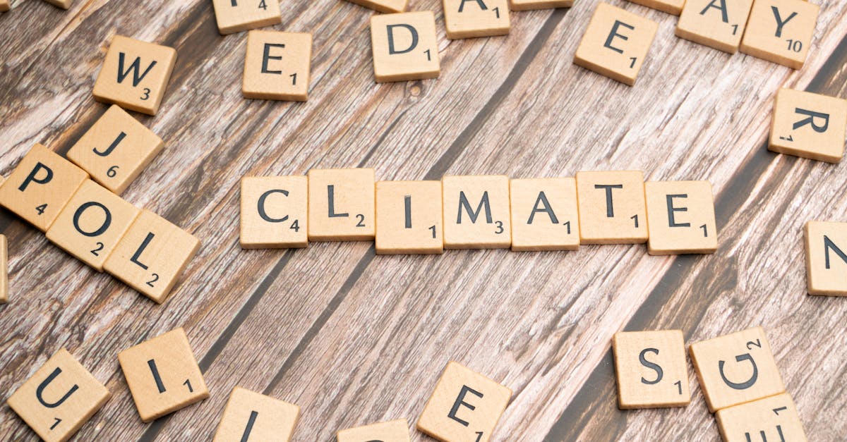 découvrez des stratégies innovantes et des solutions pratiques pour l'adaptation au changement climatique. informez-vous sur les mesures nécessaires pour renforcer la résilience de nos communautés et protéger notre environnement face aux défis environnementaux croissants.