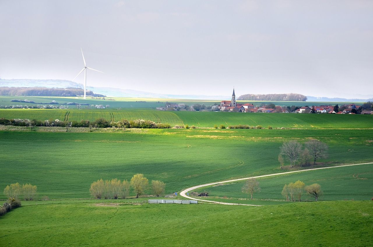 découvrez les principes du développement durable et comment intégrer des pratiques responsables pour préserver l'environnement, soutenir l'économie et promouvoir l'équité sociale.