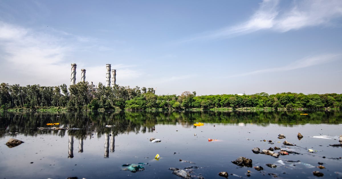 découvrez l'impact environnemental des activités humaines et les mesures à prendre pour protéger notre planète. analyse des enjeux écologiques, des conséquences sur la biodiversité et des solutions durables à adopter.