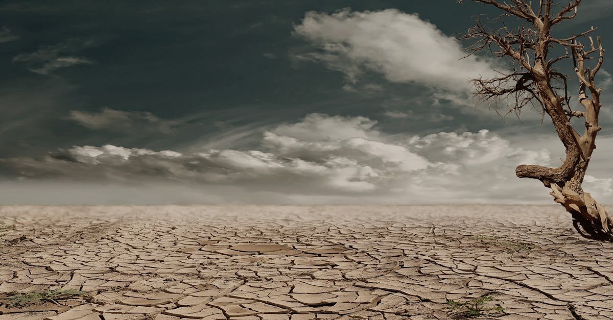 découvrez les causes, conséquences et solutions face au changement climatique. informez-vous sur son impact environnemental et les actions à adopter pour préserver notre planète.
