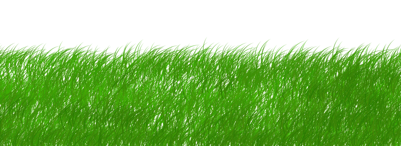 découvrez l'importance de la durabilité dans notre société moderne. explorez des pratiques écologiques, des solutions innovantes et des initiatives responsables pour préserver notre planète pour les générations futures.