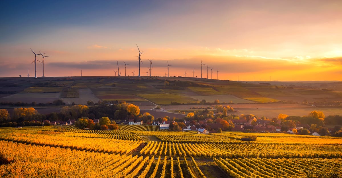 découvrez comment le concept de durabilité influence nos choix quotidiens, de la consommation responsable aux énergies renouvelables. explorez des solutions innovantes pour un avenir plus vert et engagé.