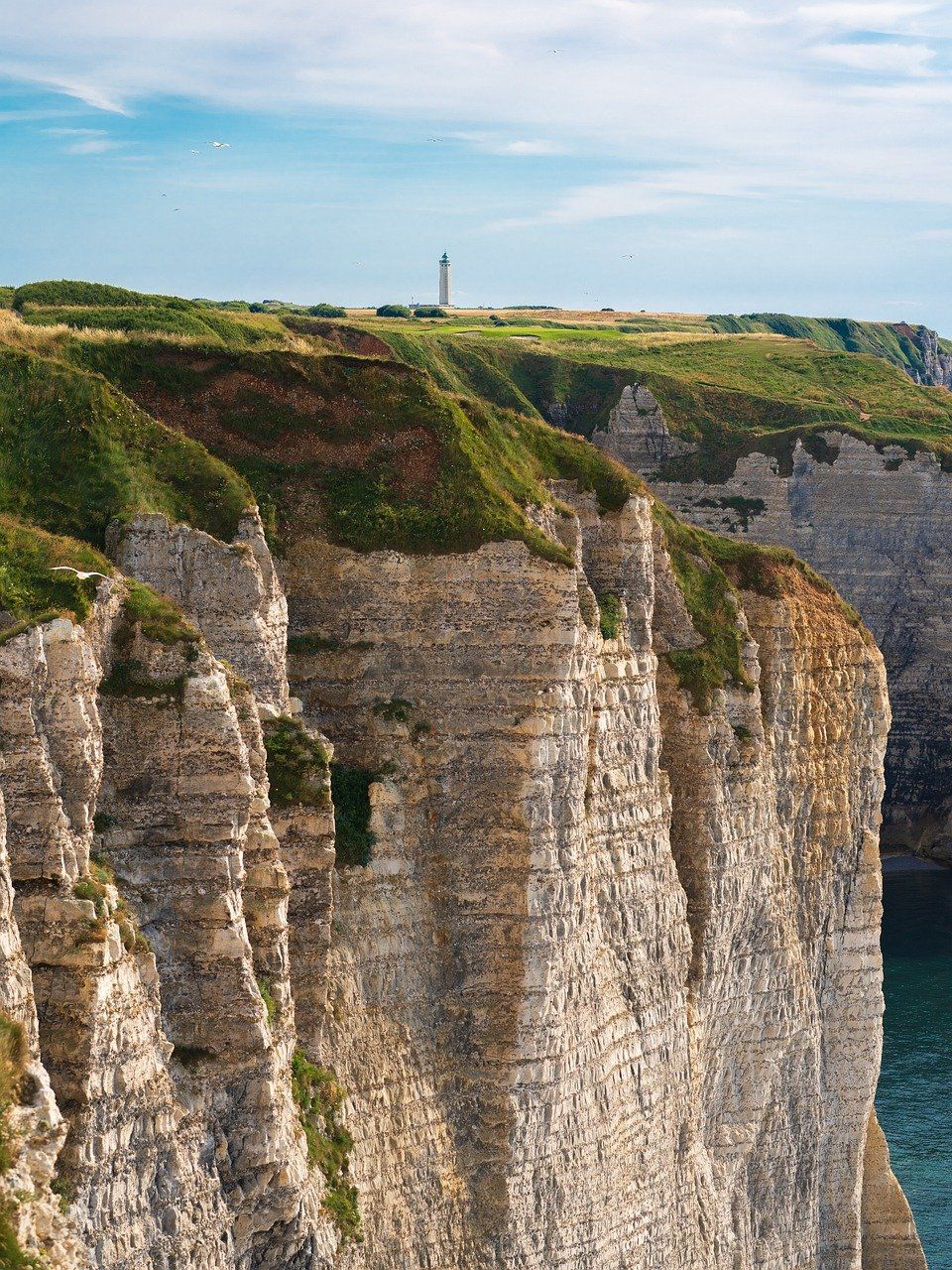 découvrez france fertilisants, spécialiste en solutions innovantes pour l'agriculture durable et la fertilisation des sols, pour des cultures saines et productives.