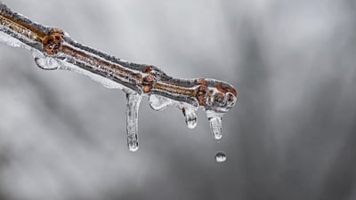 Essentiels du climat : Statistiques et tendances 2024 pour la France, l’Europe et le monde