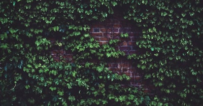 Écologie urbaine : Comment transformer nos villes en espaces verts durables