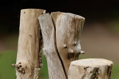 Brésil : un plan climatique ambitieux place la lutte contre la déforestation au centre des priorités